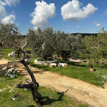Trulli Barsento Εξοχικό σπίτι Αλμπερομπέλο