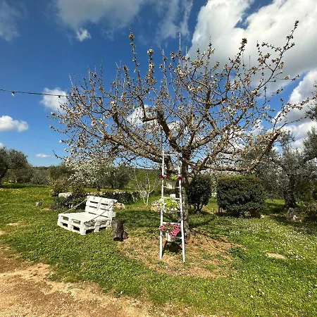 Trulli Barsento Летний дом Альберобелло