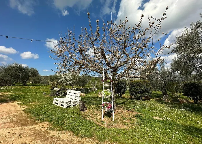 Trulli Barsento Casa di campagna Alberobello